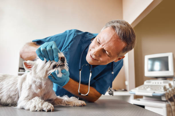 Best Emergency Dental Care for Sports Injuries in Norman, OK